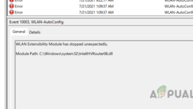 Windows’ta WLAN Genişletilebilirlik Modülü Durdu Hatası Nasıl Düzeltilir?